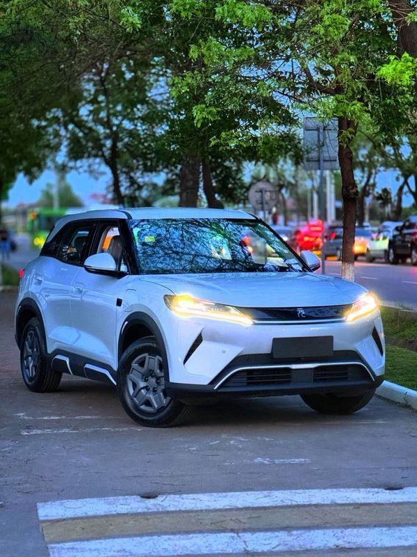 BYD Yuan up 17800 BYD Yuan up 17800