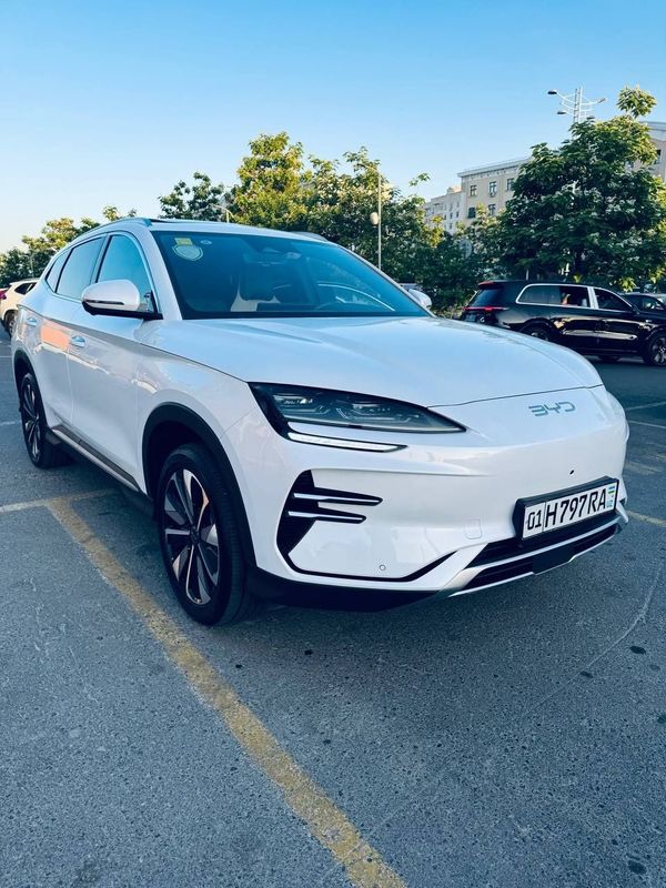 BYD chempion 2024 restayling BYD chempion 2024 restayling