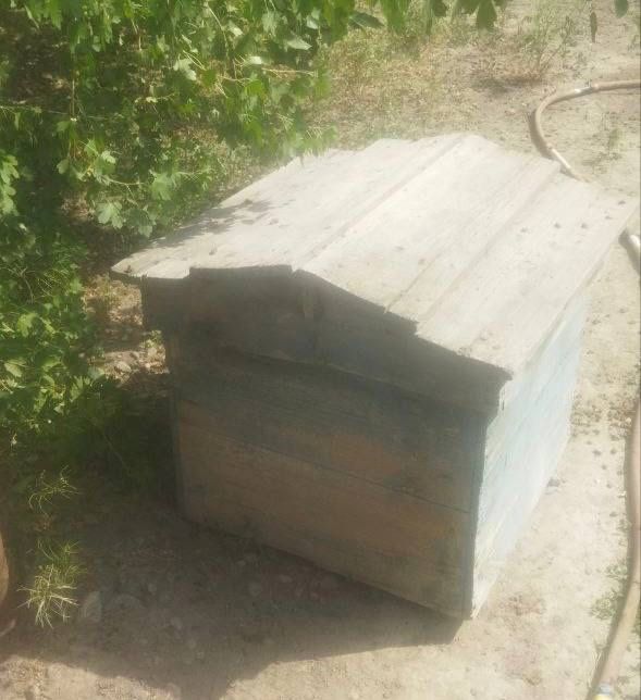 Улья продаются , есть 3 шт