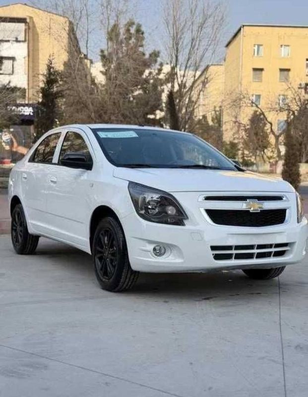 Cobalt midnight 2025 Cobalt midnight 2025