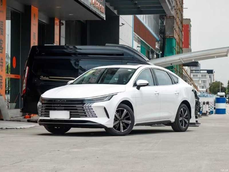 BYD Chazor 120 km full 0 probeg BYD Chazor 120 km full 0 probeg