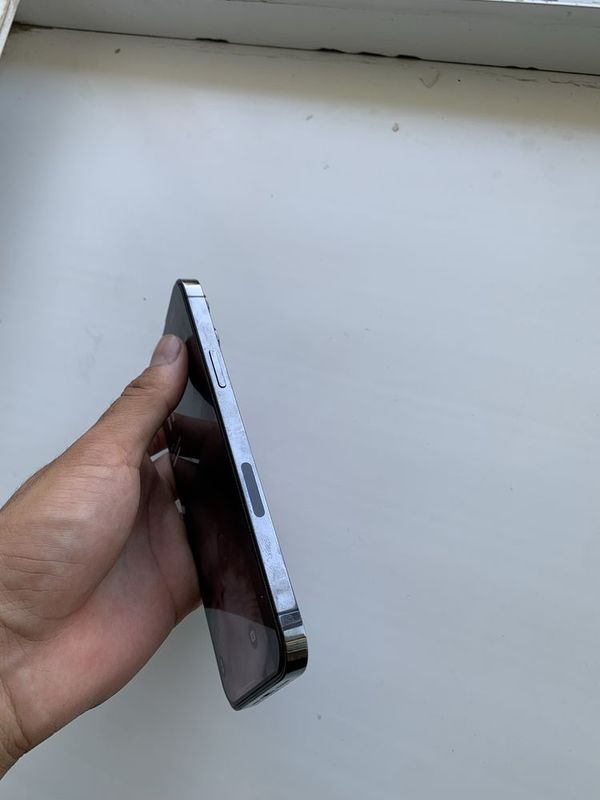 Iphone 13 pro max Iphone 13 pro max