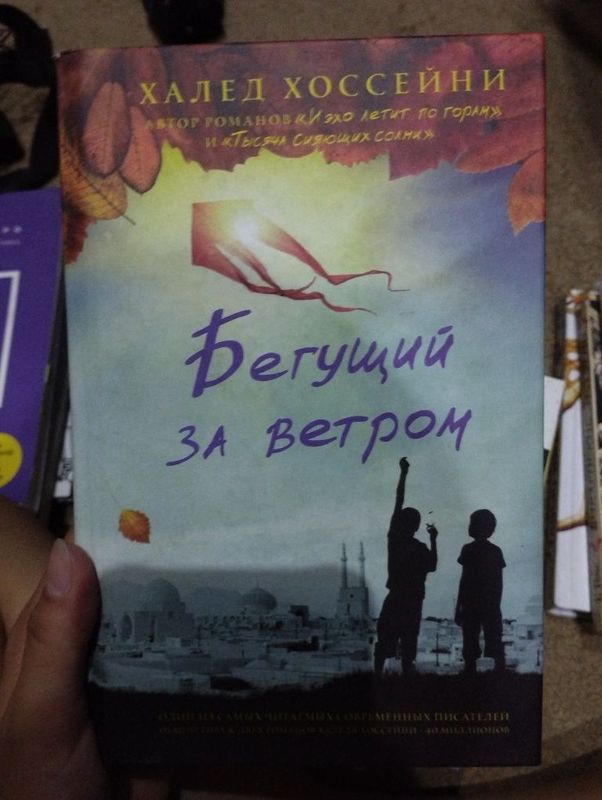 Книга Бегущий за ветром Книга Бегущий за ветром