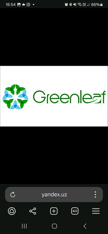 Greenleaf. Онлайн работа
