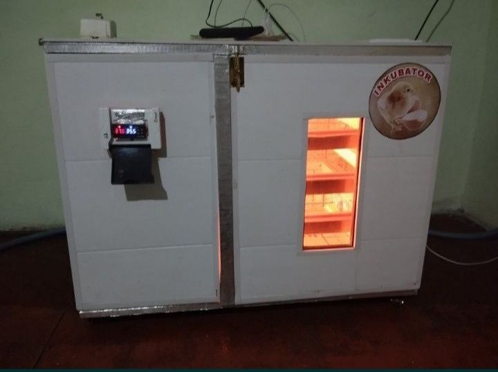 Enkubator xizmati