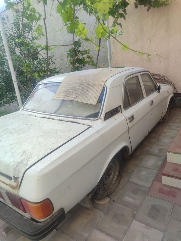 Volga gaz 31029.. Volga gaz 31029..