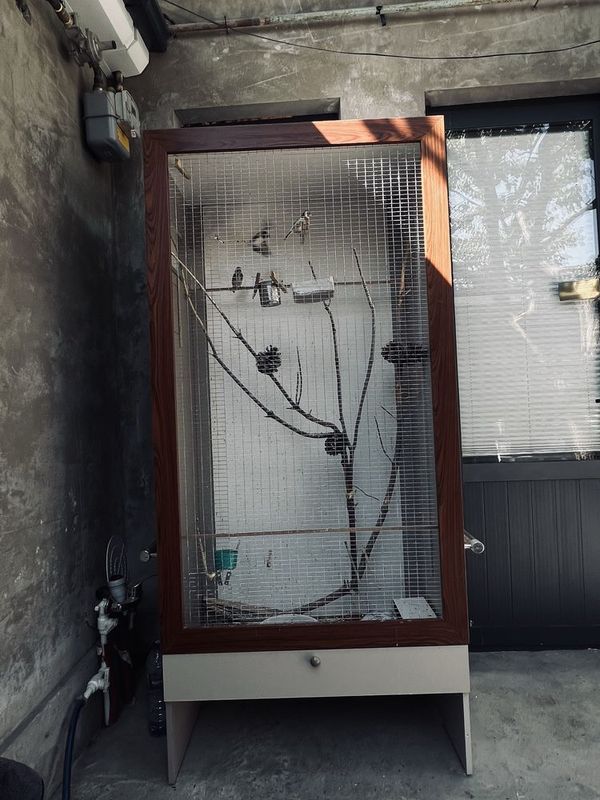 Qafas sotiladi 1,350,000