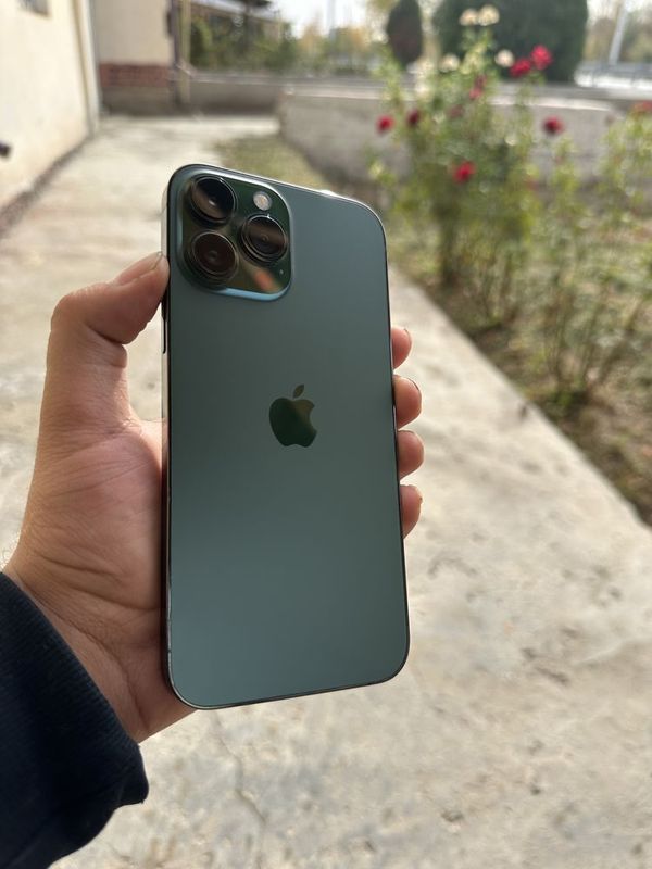 Iphone 13 pro max green