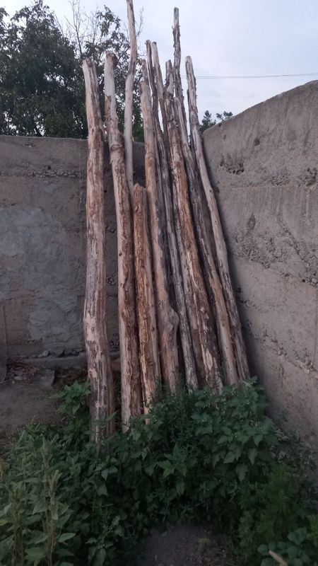 Тополь бревна... Тополь бревна...