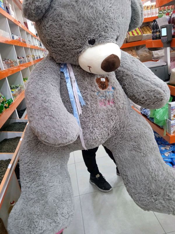Teddi bo'yi 1 yarim metrdan oshiq Teddi bo'yi 1 yarim metrdan oshiq