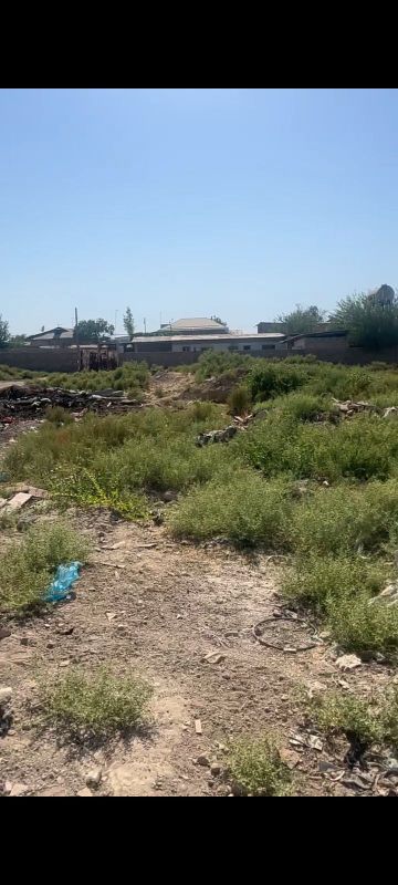 Продам землю в городе Туйтепа 1 гектар 28 соток по 5000$ Продам землю в городе Туйтепа 1 гектар 28 соток по 5000$