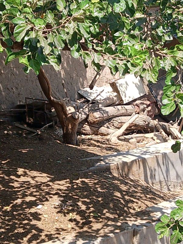 Дарахт кундалари утин сотилади