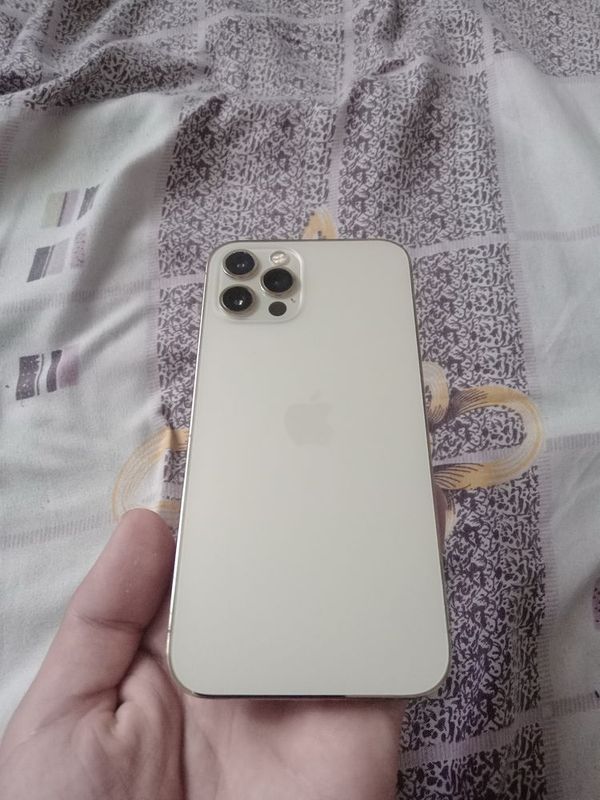 Iphone 12 pro gold Iphone 12 pro gold