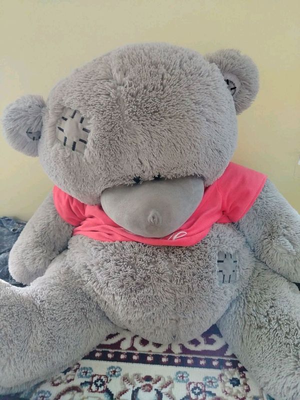 Teddy Ayiqcha Teddy Ayiqcha