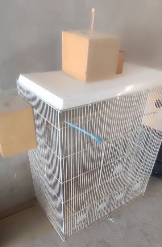 Qafas sotiladi 300ming