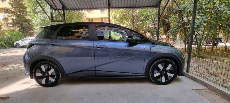 BYD DOLPHIN Knight version FULL
