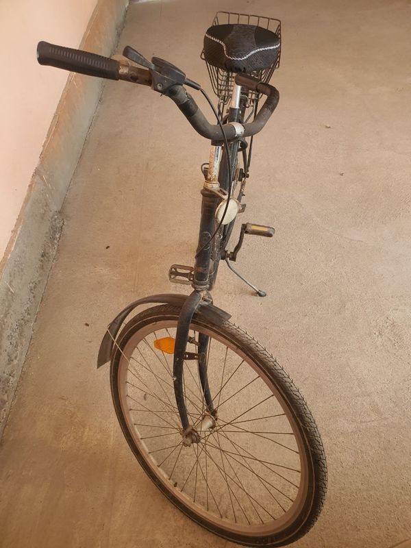 German velo. Srokchni German velo. Srokchni