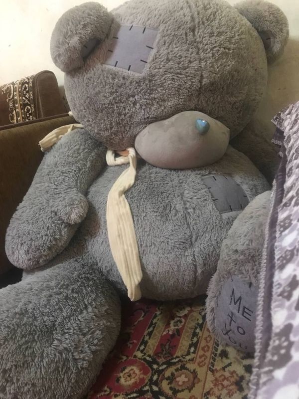Teddy ayiqcha sotiladi