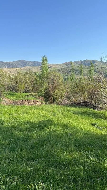 Паркент, махалля Невич 6 соток с видом на горы Паркент, махалля Невич 6 соток с видом на горы