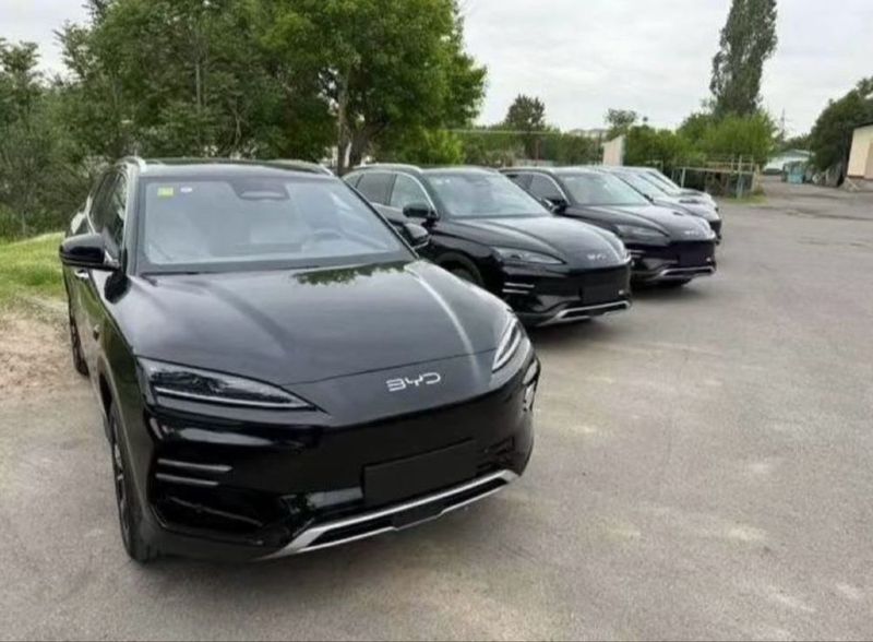 Byd Chempion Smartdrive