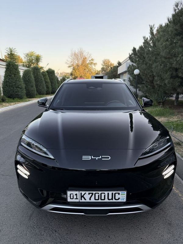 BYD Champion Ev Honor 605 km