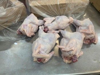 суповые курицы домашние суповые курицы домашние