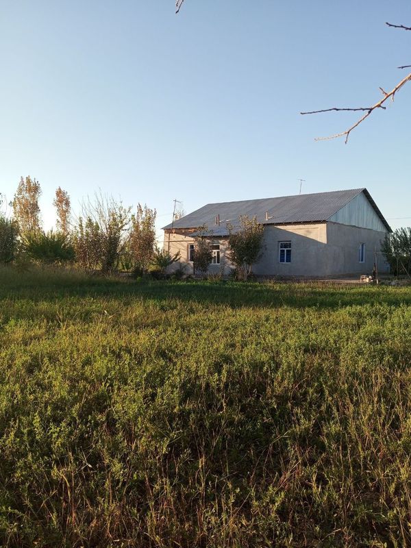 Katta 5 000 m2 Hovli joy Katta 5 000 m2 Hovli joy