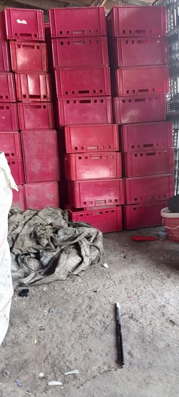 Plasmassa olamiz Toshkent buylab olib keliw qabul qiliw xizmati mavjud