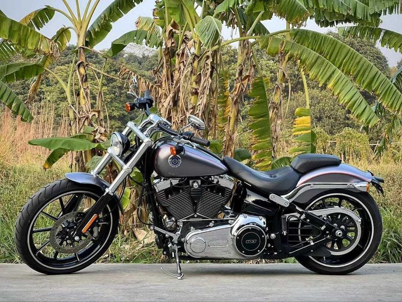 Harley Davidson Breakout (под заказ) (есть видео обзор)(китай регион) Harley Davidson Breakout (под заказ) (есть видео обзор)(китай регион)