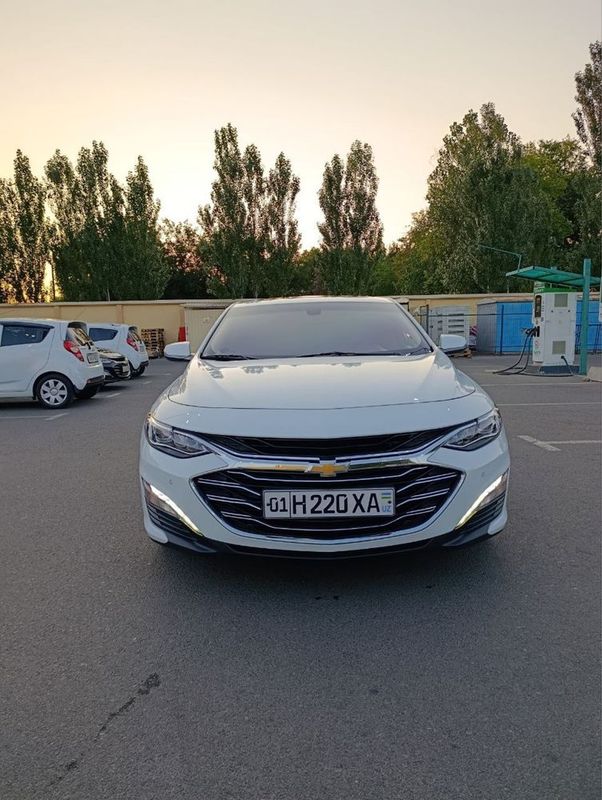 Malibu primer 2020 Yil Kraska Top Toza Malibu primer 2020 Yil Kraska Top Toza