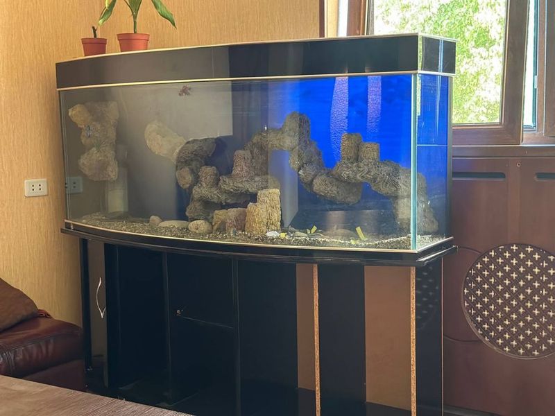 Akvarium shkafi bn Akvarium shkafi bn