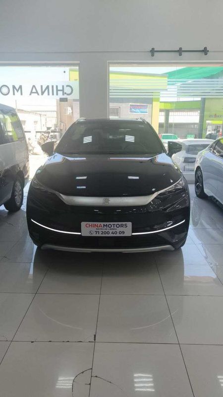 BYD Tang 730km 2024 (tank) &&&