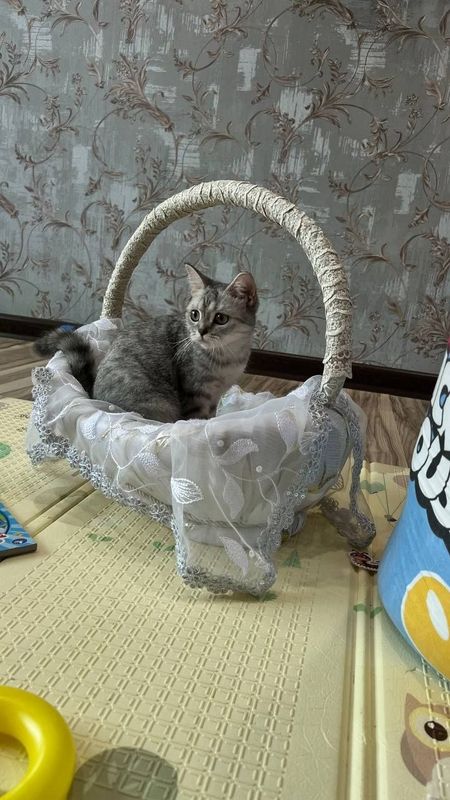 Срочно Продаётся Срочно Продаётся