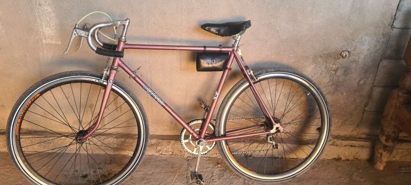 Velosepet gonchik