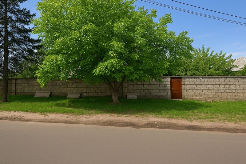 Продается Угловой Участок 7 соток в махалле Амира Темура. Продается Угловой Участок 7 соток в махалле Амира Темура.