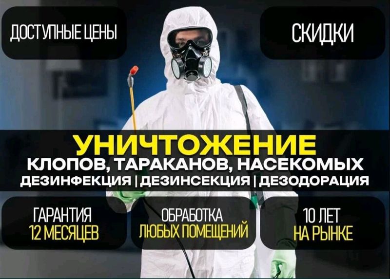 Дезинфекция клопов тараканов крыс мышей скорпионов