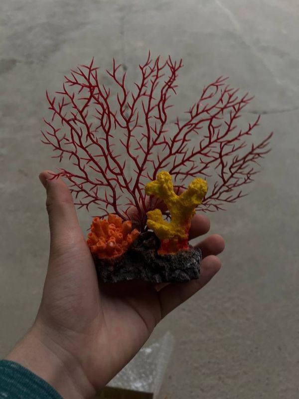 Коралл для аквариума