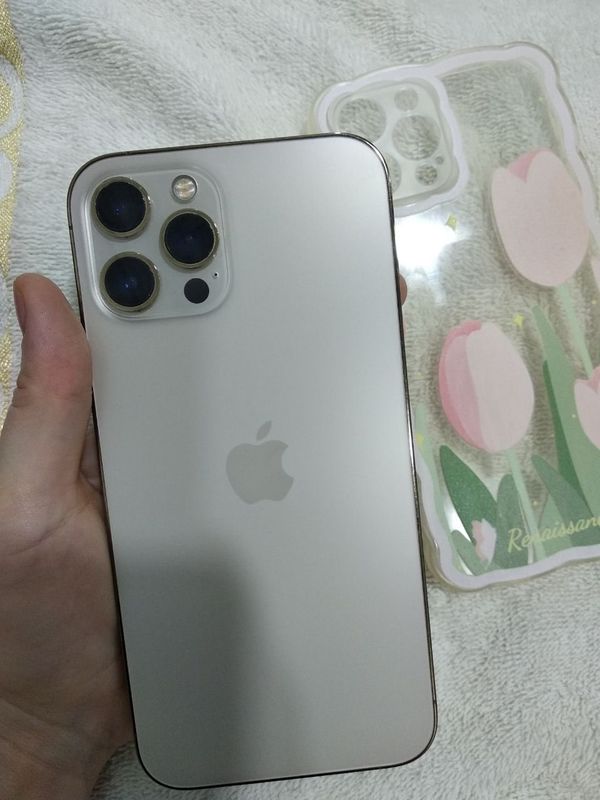 Iphone 12 Promax 128 gb 500$ cheholi bilan Iphone 12 Promax 128 gb 500$ cheholi bilan