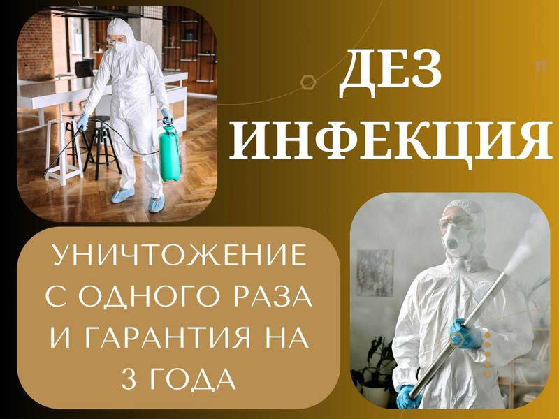 Дезинфекция от клопов дезинфекция клапа дезинфекция скорпионов змей