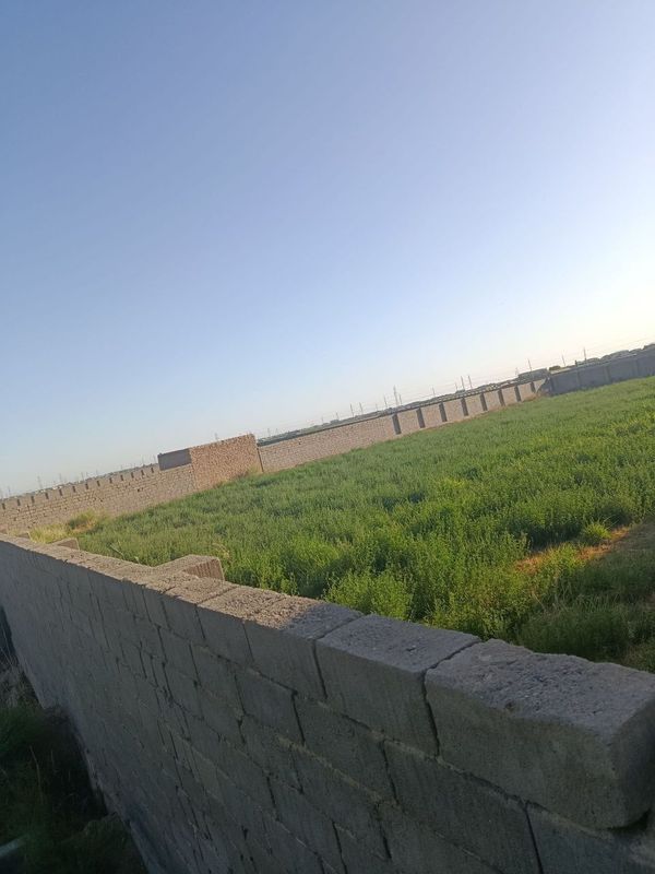 Qarshida yer sotiladi