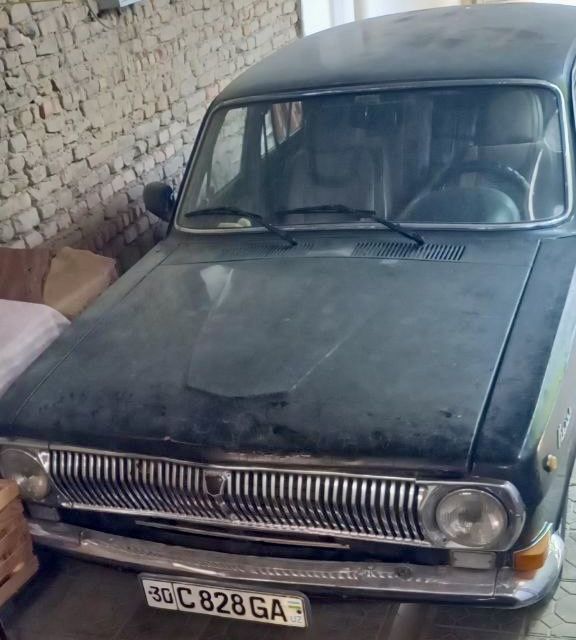 Volga qora urta holati, Samarqandda Volga qora urta holati, Samarqandda