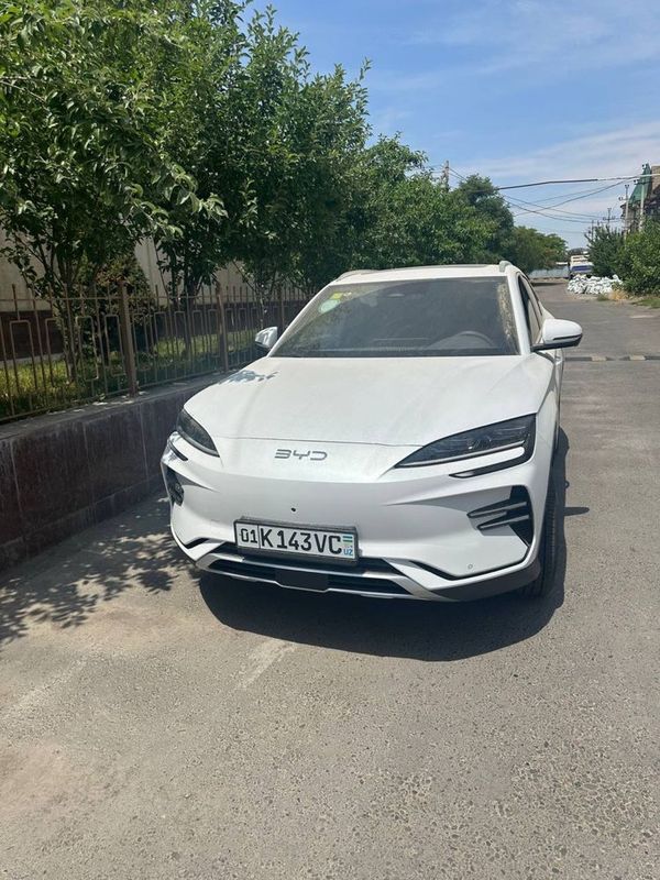 Byd champion 605 Byd champion 605