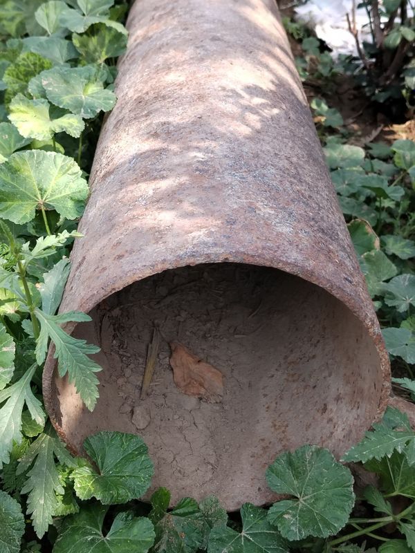 turba holati yaxshi