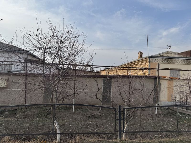 Bekobod tumani. Zafarda 4 so’tixli xovli sotiladi