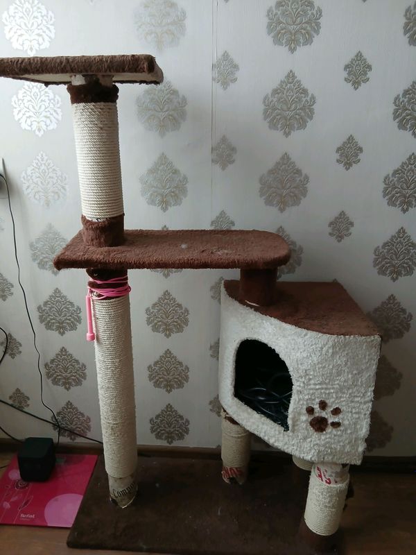 кошачий домик кошачий домик
