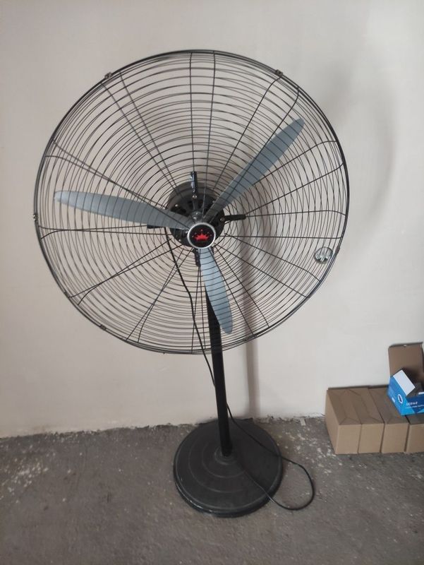 Veltinator xali yangidek