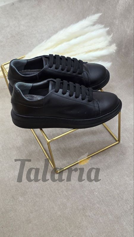 Новинки от Talaria Новинки от Talaria