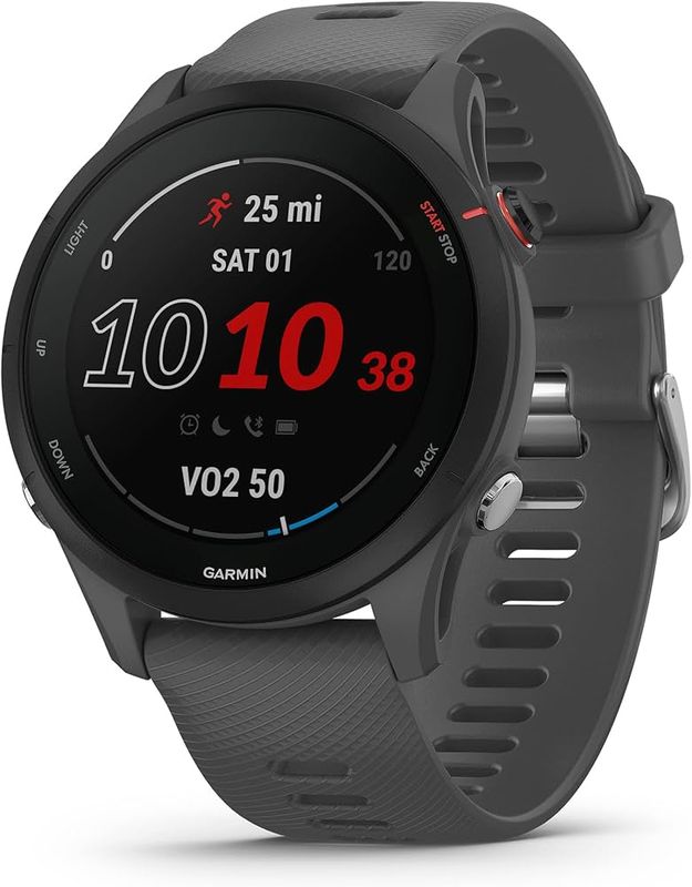 Garmin Forerunner 255 Garmin Forerunner 255