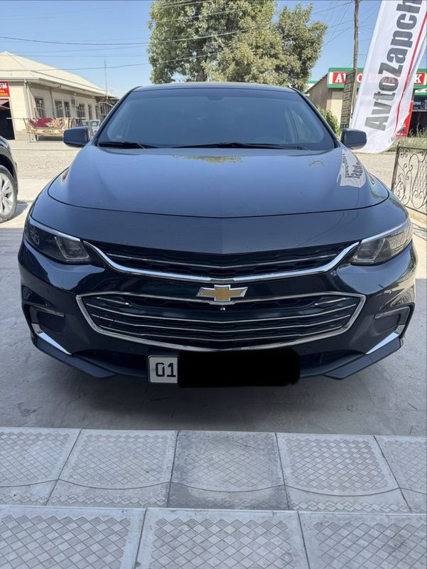 Malibu 2 2,4 Atmosferniy