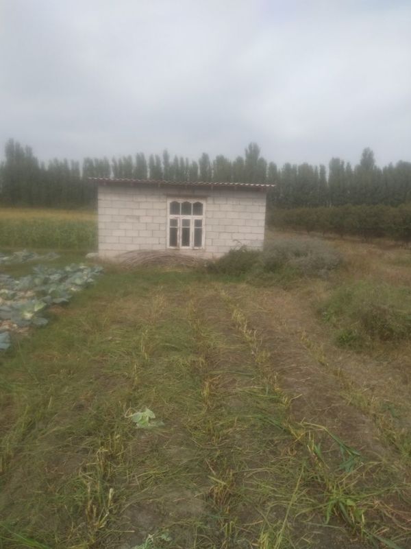 кокн ш Ашикулмерганда жойлашган участка сотилади кокн ш Ашикулмерганда жойлашган участка сотилади